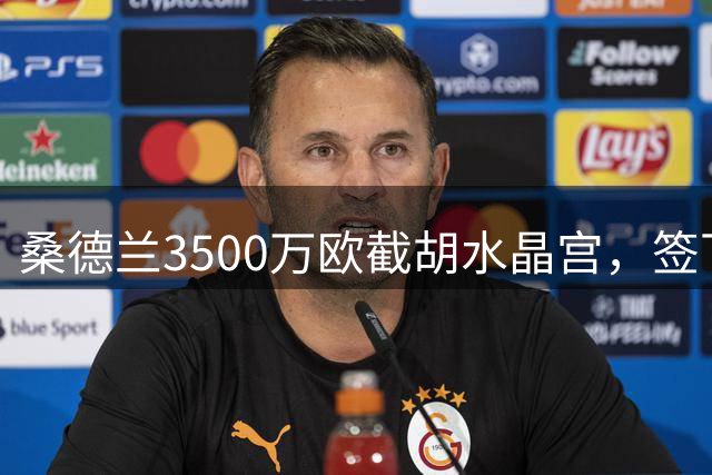 桑德兰3500万欧截胡水晶宫，签下比利时国脚福法纳